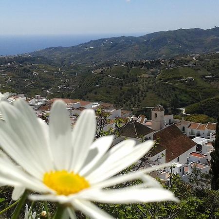 Casa Ana, Fantasticas Vistas A Frigiliana, El Mar Y La Montana Villa ภายนอก รูปภาพ