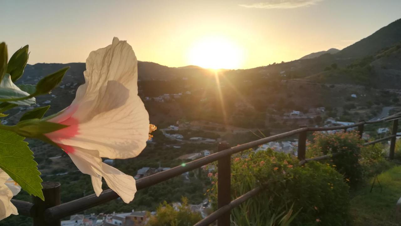 Casa Ana, Fantasticas Vistas A Frigiliana, El Mar Y La Montana Villa ภายนอก รูปภาพ