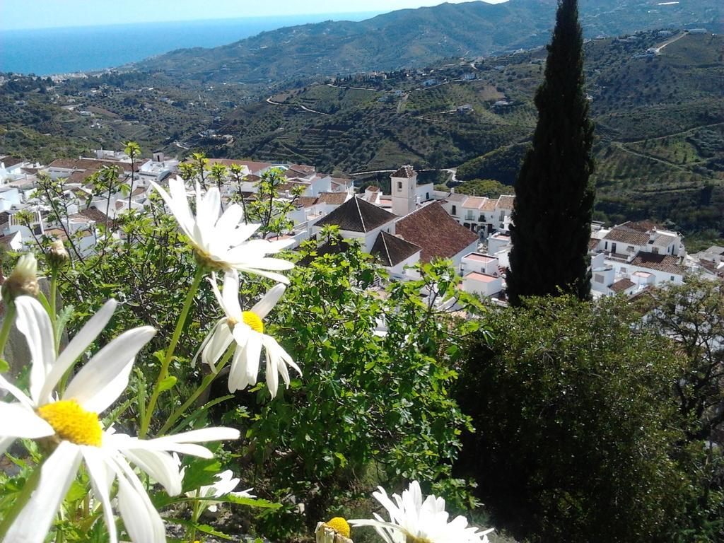 Casa Ana, Fantasticas Vistas A Frigiliana, El Mar Y La Montana Villa ห้อง รูปภาพ
