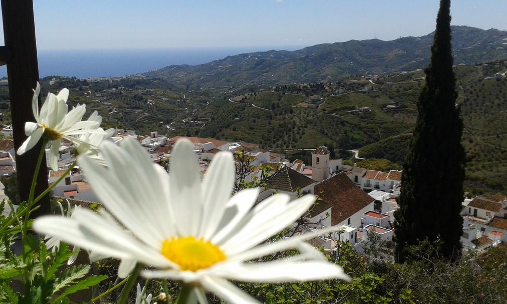 Casa Ana, Fantasticas Vistas A Frigiliana, El Mar Y La Montana Villa ภายนอก รูปภาพ
